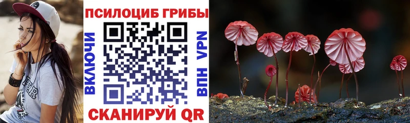 Галлюциногенные грибы Cubensis  Котельнич 