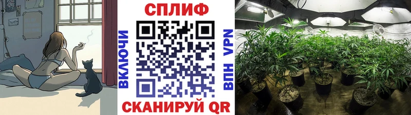 наркошоп Котельнич Марихуана Bruce Banner
